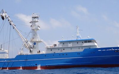 Europêche calls for fisheries to be fully integrated in EU trade policy