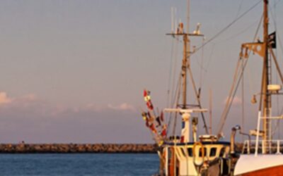 Europêche welcomes Council agreement on 2026 Baltic catch limits