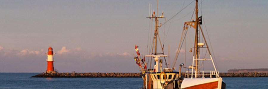 Europêche welcomes Council agreement on 2026 Baltic catch limits