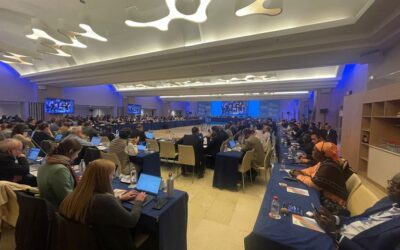 ICCAT: what’s next?