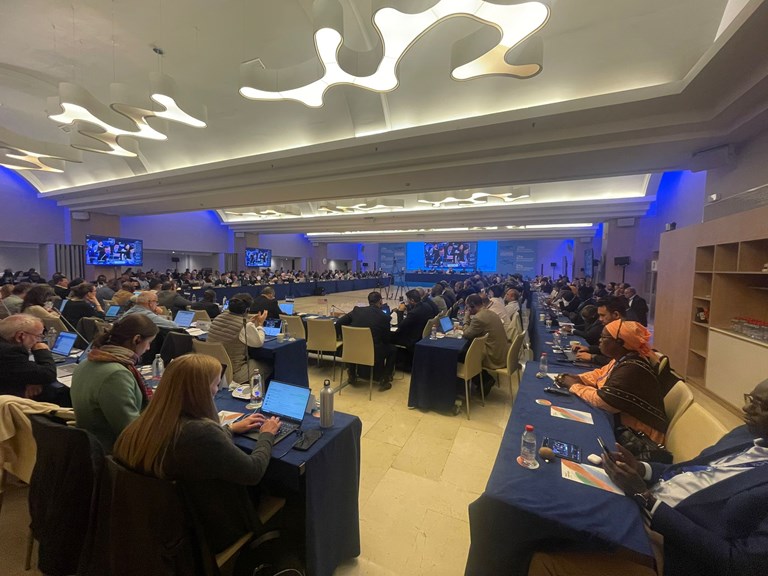 ICCAT: what’s next?