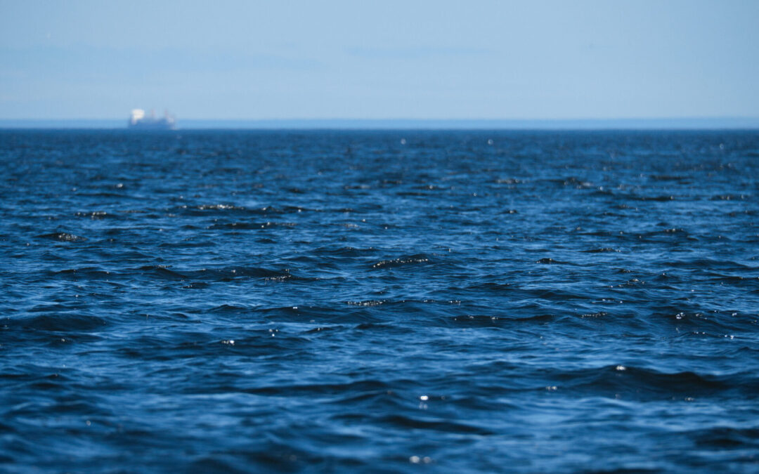 Fresh approach needed to shared fisheries management in Northeast Atlantic after hitting dead end at NEAFC 2025
