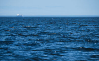 Fresh approach needed to shared fisheries management in Northeast Atlantic after hitting dead end at NEAFC 2025