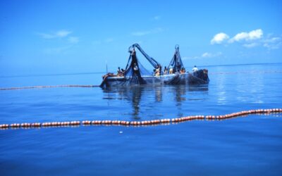IOTC achieve major improvements on bigeye tuna management, but leave a bitter taste on control and management of other key fisheries