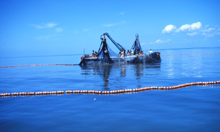 IOTC achieve major improvements on bigeye tuna management, but leave a bitter taste on control and management of other key fisheries