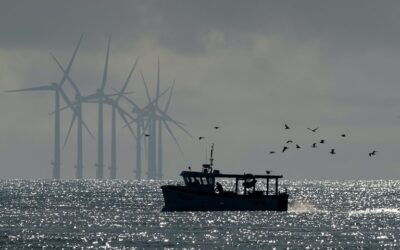 Europeche calls on the European Commission to address escalating marine spatial squeeze