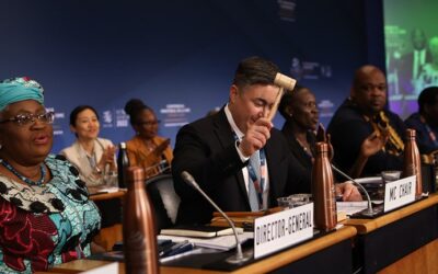 WTO secures deal over fisheries subsidies