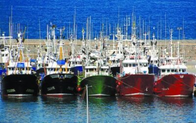 Missed opportunity to overhaul the Common Fisheries Policy
