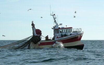 SOS call to preserve coastal fishing communities in the Mediterranean Sea