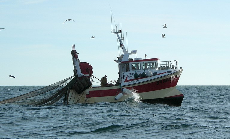 SOS call to preserve coastal fishing communities in the Mediterranean Sea