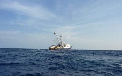 Coastal states seriously concerned by IOTC’s vote for a FAD ban