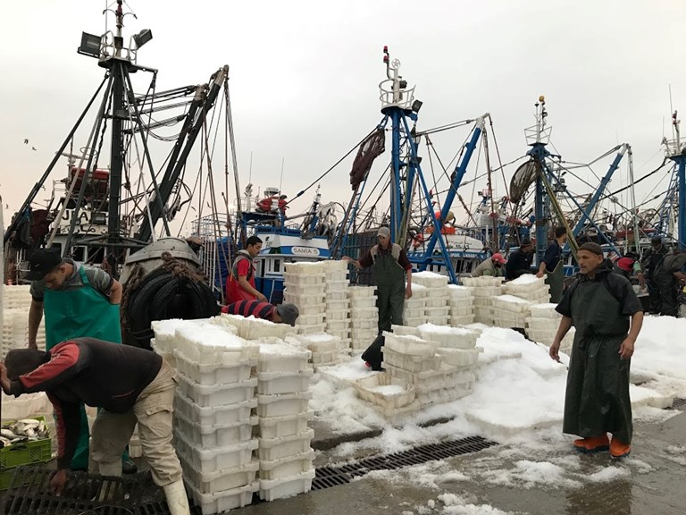 Euro-Moroccan fishing sector united to address court decision annulling EU-Morocco fisheries agreement