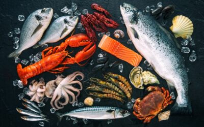 Tariff duty derogations must be granted solely to imported fishery products that meet sustainability criteria