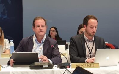 EU fishing industry disappointed by ICCAT’s decisions
