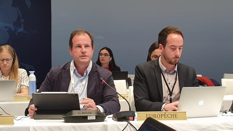 EU fishing industry disappointed by ICCAT’s decisions