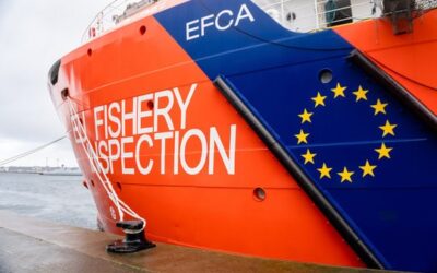 New fisheries control rules must be proportionate, harmonised and workable