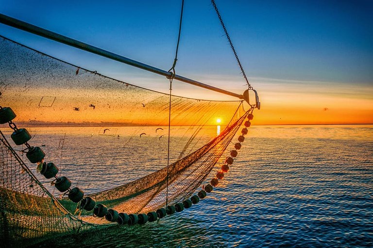 European bottom fishing industry shows a united front in Brussels