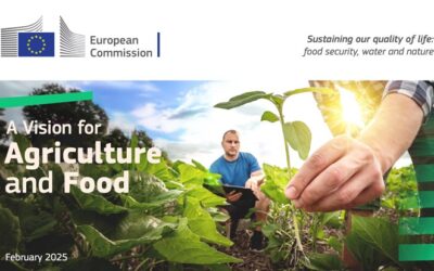 Europêche calls for meaningful inclusion of fisheries in EU’s Vision for Agriculture & Food