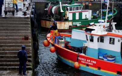 Fishing Industry welcomes EU support to overcome the socio-economic turmoil caused by the COVID-19 outbreak
