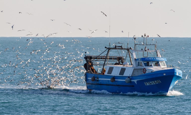 EU Social Partners for fisheries warn: New Mediterranean fishing proposal threatens thousands of jobs and entire coastal communities