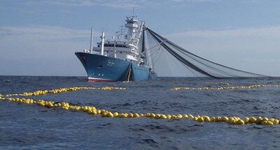 Europêche lodges anti-dumping complaint against Chinese tuna exports – EU fishing sector requests the abolition of tariff derogations for imported tuna loins
