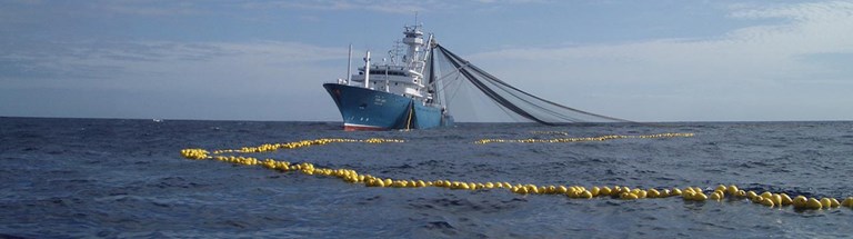 Europêche lodges anti-dumping complaint against Chinese tuna exports – EU fishing sector requests the abolition of tariff derogations for imported tuna loins