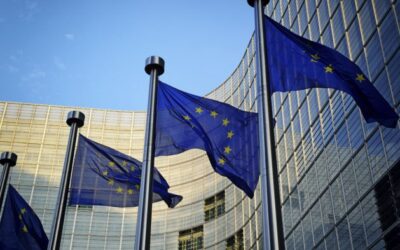 Open letter to Commissioner Sinkevicius criticising the spread of damaging information