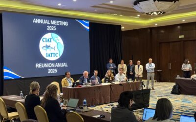 Sustainable fisheries management yields results at IATTC