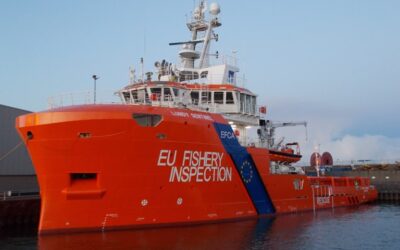 Europêche and environmental NGOs join forces to demand modern, effective and simplified EU fisheries control rules