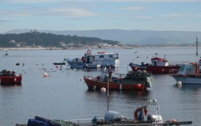 Spanish National Federation of Cofradías joins Europêche