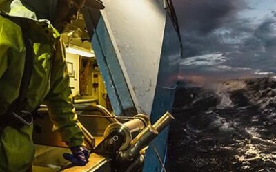 Minimum conditions for social certification in the seafood supply chain