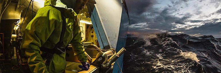 Minimum conditions for social certification in the seafood supply chain