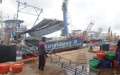 EU-Thailand Free Trade Agreement: European tuna industry sounds the alarm