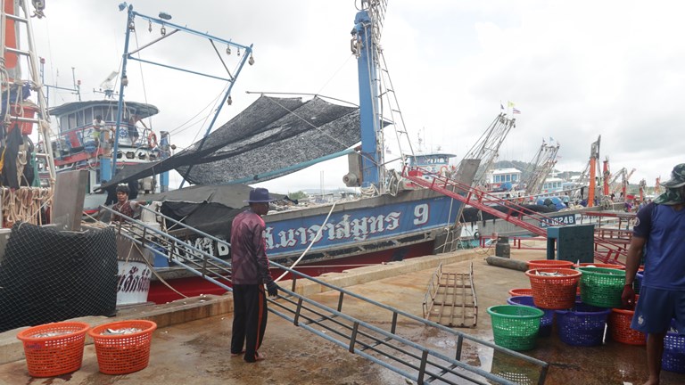 EU-Thailand Free Trade Agreement: European tuna industry sounds the alarm