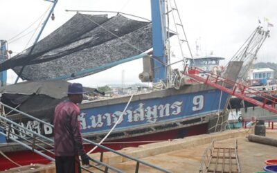EU–Thailand Free Trade Agreement: Europêche warns against influx of Thai tuna following US tariff increase and calls for its exclusion from the FTA