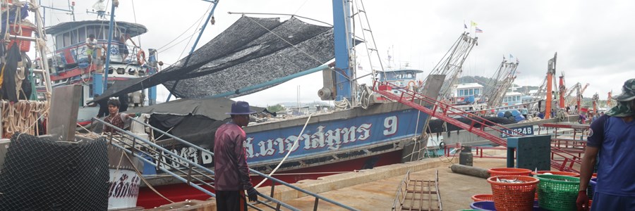 EU–Thailand Free Trade Agreement: Europêche warns against influx of Thai tuna following US tariff increase and calls for its exclusion from the FTA