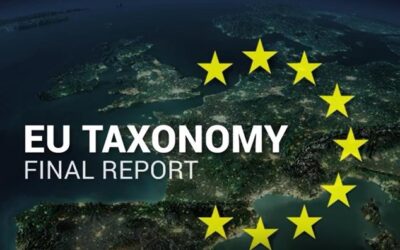 EU fishing sector denounces lack of transparency and expertise in developing EU taxonomy standards for fishing
