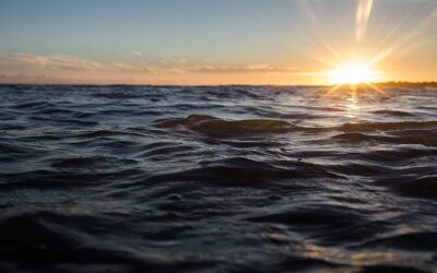 Europêche welcomes new Treaty for High Seas
