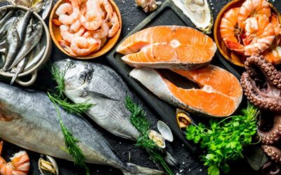 EU governments privilege cheap imported fish over sustainable EU production