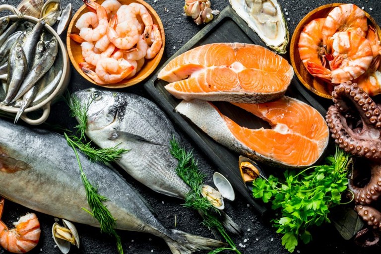 EU governments privilege cheap imported fish over sustainable EU production