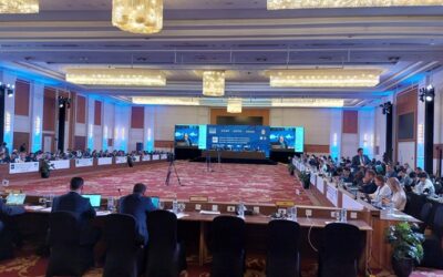 ICCAT makes progress on sustainable fisheries management despite Asian opposition