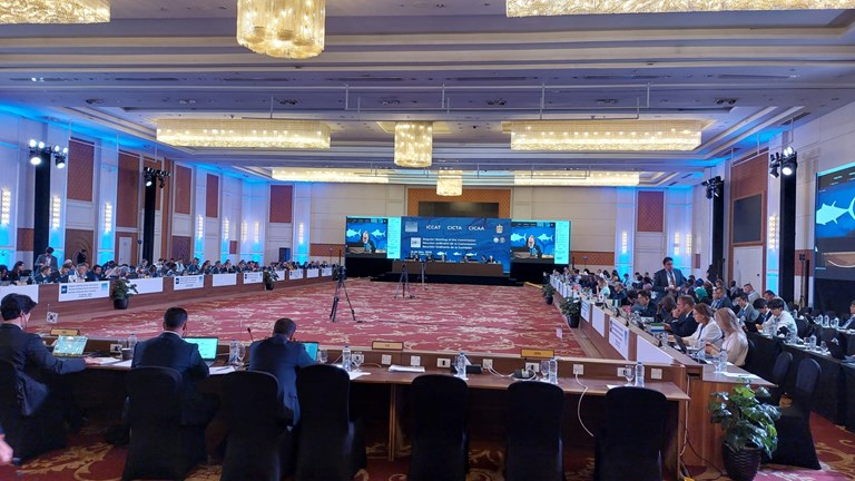ICCAT makes progress on sustainable fisheries management despite Asian opposition