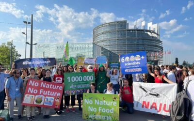 Europêche demands transparency and accountability over allegations of NGO funding for Green lobbying