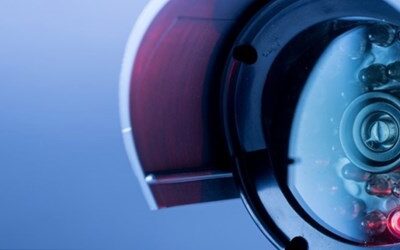 Mandatory cameras overshadow the revision of fisheries control rules