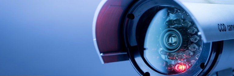 Mandatory cameras overshadow the revision of fisheries control rules