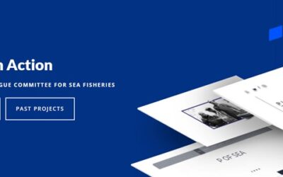 New digital hub becomes focal point for EU Social Dialogue in fisheries