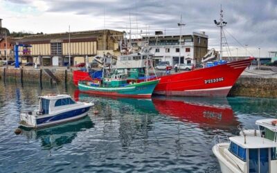 EU Fishing Industry welcomes European Commission’s proposal as a first measure to mitigate the impact of the COVID-19 Crisis. Additional Funding must now be provided