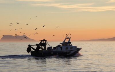 European Social Partners issue urgent call to protect Mediterranean coastal fishing communities