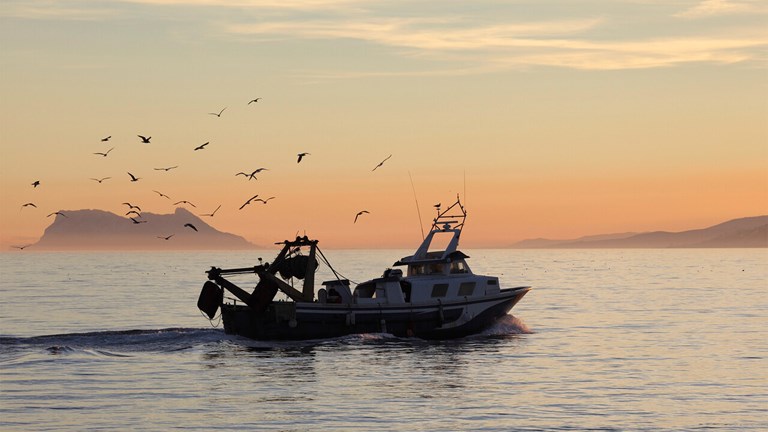 European Social Partners issue urgent call to protect Mediterranean coastal fishing communities