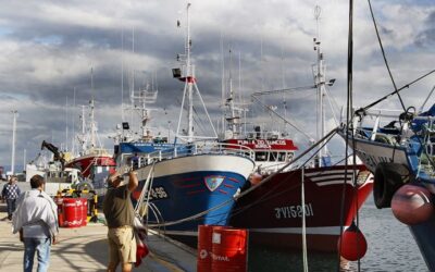 Deep-sea fishing ban threatens economic viability of EU longline fleet